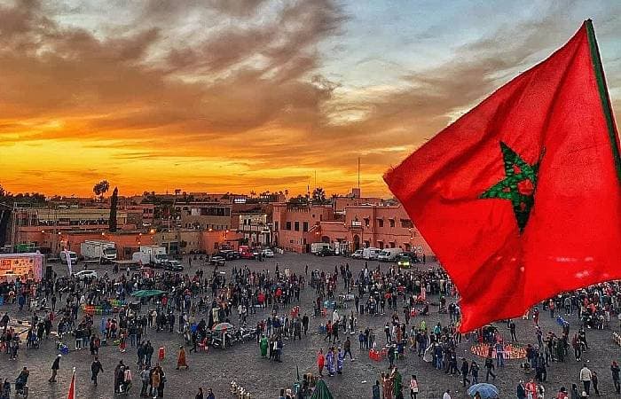 Contacts fournisseurs Maroc 🇲🇦
