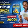 100 idées de business rentable à petit budget 